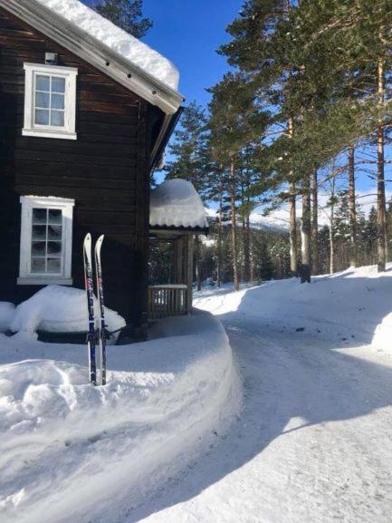 Breiva Gjestegaard Og Glamping Bo (Telemark) Buitenkant foto